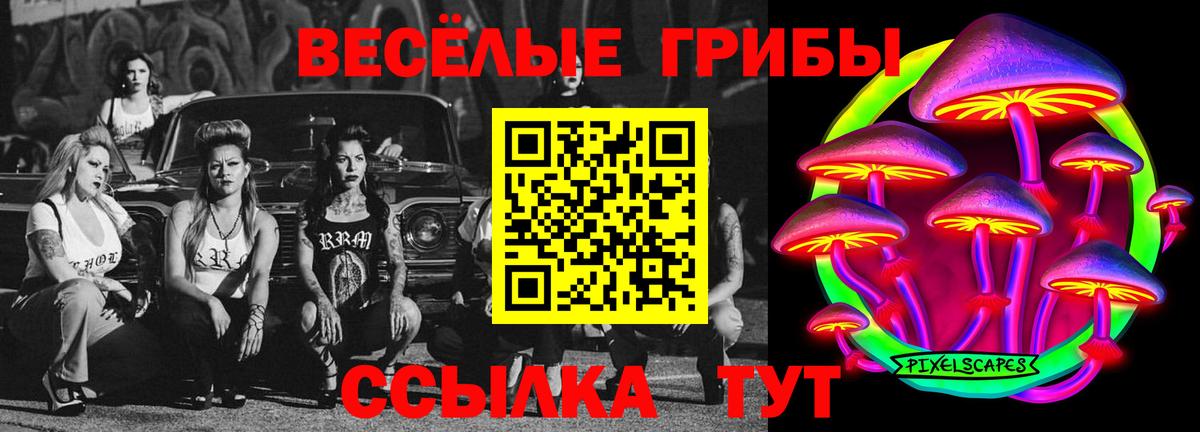 Псилоцибиновые грибы Psilocybine cubensis Берёзовский