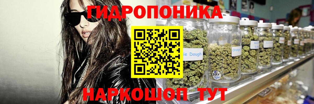 Конопля планчик  Берёзовский  Каннабис конопля  Бошки марихуана SATIVA & INDICA 